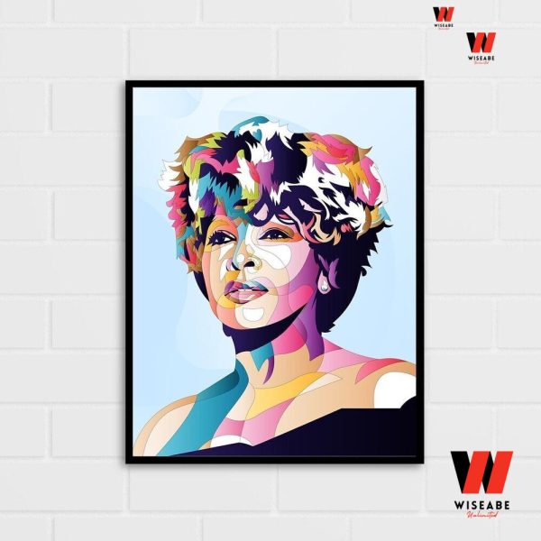 Memorial Queen of Rock n Roll Tina Turner Poster